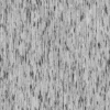 Dirty Old Wood 7379 - Image 6