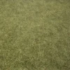 Grass 7497 - Image 2