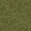 Grass 7497 - Image 4