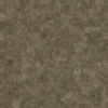Ground Dirt 7492 - Image 4