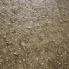 Ground Dirt 7493 - Image 2