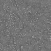 Ground Dirt 7493 - Image 5