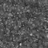 Ground Dirt 7493 - Image 6