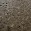 Wet Ground Dirt 7494 - Image 2