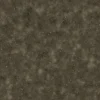 Wet Ground Dirt 7494 - Image 4