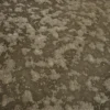 Wet Ground Dirt 7495 - Image 2