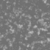 Wet Ground Dirt 7495 - Image 6