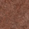 Dirty Red Brick Pavement 7575 - Image 4