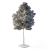 Small Leaved Lime Tree 5m - Image 8