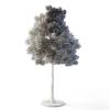 Small Leaved Lime Tree 5m - Image 6