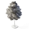 Small Leaved Lime Tree 4.9m - Image 2