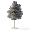 Small Leaved Lime Tree 4.9m - Image 6