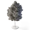 Small Leaved Lime Tree 4.9m - Image 3