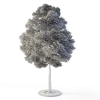 Small Leaved Lime Tree 4.6m - Image 6