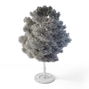Small Leaved Lime Tree 4.6m - Image 4