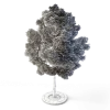 Small Leaved Lime Tree 4.6m - Image 2