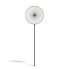 No Stopping Sign - Image 7