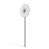 No Stopping Sign - Image 12