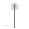 Damaged No Stopping Sign - Image 10