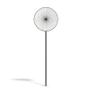 No Entry Sign - Image 7
