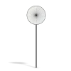 No Walking Sign - Image 7