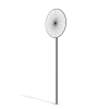 No Walking Sign - Image 12