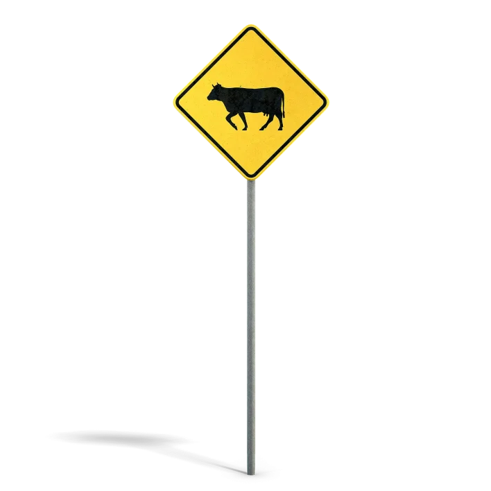 Cattle Warning Sign