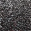 Alien Flesh 7840 - Image 2