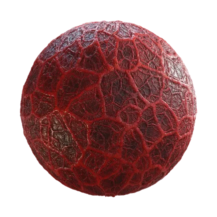 Alien Flesh 7841
