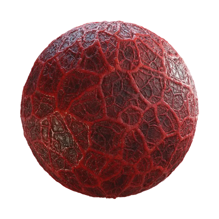 Alien Flesh 7841