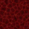 Alien Flesh 7841 - Image 4