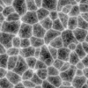 Alien Flesh 7841 - Image 6