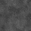 Alien Flesh 7849 - Image 12