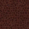 Alien Flesh 7860 - Image 4