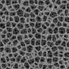 Alien Flesh 7860 - Image 6