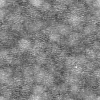 Alien Flesh 7866 - Image 6