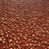 Alien Goo 7857 - Image 2