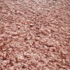 Alien Goo 7858 - Image 2