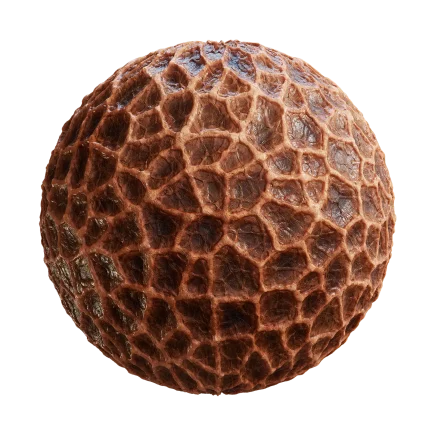 Alien Membrane 7837