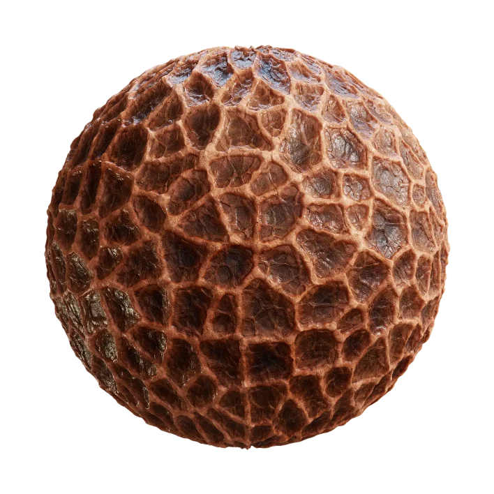 Alien Membrane 7837