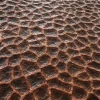 Alien Membrane 7837 - Image 2