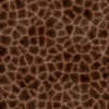Alien Membrane 7837 - Image 4