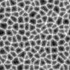 Alien Membrane 7837 - Image 6