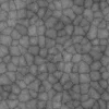 Alien Membrane 7837 - Image 12