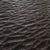 Alien Membrane 7838 - Image 2