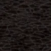 Alien Membrane 7838 - Image 4