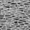 Alien Membrane 7838 - Image 6
