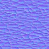 Alien Membrane 7838 - Image 10
