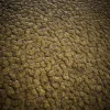 Alien Skin 7829 - Image 2