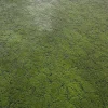 Alien Skin 7854 - Image 2